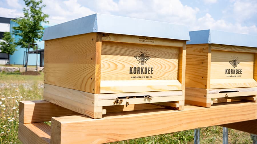 KORKBEE Bienenbeuten in Schweinfurt